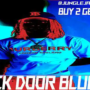 Picture for song 'Kick Door Blues' by artist 'Jungle Jay'