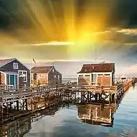 Picture for song 'Nantucket By Morning: A Bust' by artist 'paul gorman and the hypnotist collectors'