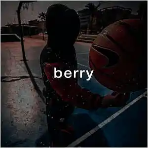 Picture for song 'Berry (Boom Bap)' by artist 'Puls Ever'