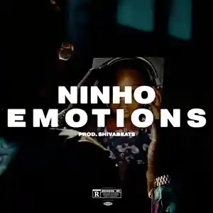 Picture for song 'NINHO TYPE BEAT - EMOTIONS (Prod SHIVABEATS)' by artist 'SHIVABEATS'