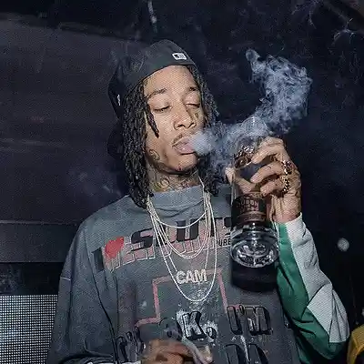 Picture for song 'Roses 94 BPM' by artist '2 Legit Ring'