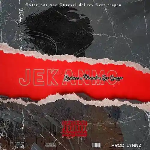 Picture for song 'Boixee ft Drexel x Zuz chappo-JEKANMO' by artist 'Boixee'