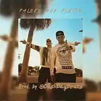 Picture for song 'Palmen aus Platin (FREE DL)' by artist 'Cash Bag Beats'