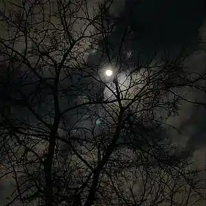 Picture for song '"Tu Esencia" Base de Hip Hop Instrumental' by artist 'ian Termal'