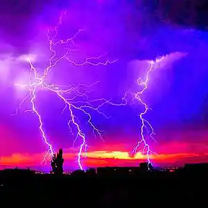 Picture for song 'Intuition' by artist 'Johanna Renfro'