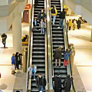 Picture for song 'SHOPPINGFRENZY' by artist 'LARZNEW'