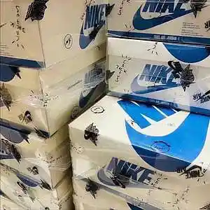 Picture for song 'Blind - Toosii + Hotboii + Melvoni Type Beat' by artist 'PaolTrizzy'