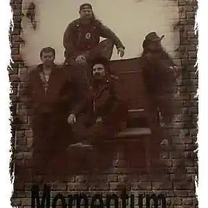 Picture for song 'Rockin The U.S.A (remastered)' by artist 'Rich Kreischer'