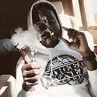 Picture for song 'Jangle X Bankroll Fresh X Lil Wayne Type Beat' by artist 'ROB B BEATZ'