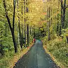 Picture for song 'The Road Not Traveled' by artist 'Rory David'