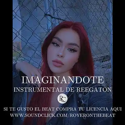 Picture for song '''IMAGINANDOTE'' instrumental De Regeeaton' by artist 'Royer On The Beat'