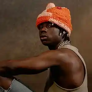 Picture for song '(FREE) 'Waves' - Rema x Wizkid Type Beat' by artist 'Smooth PDC'