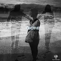 Picture for song 'Gone' by artist 'SOUNDshaker'