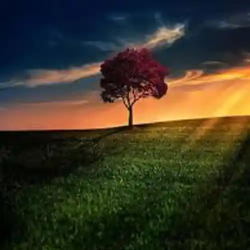 Picture for song 'T dot - Memories ( original mix )' by artist 'Thabolevy'