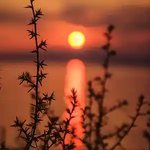 Picture for song '"Sweet" Beat for Sale' by artist 'whoDeanyBeatz'