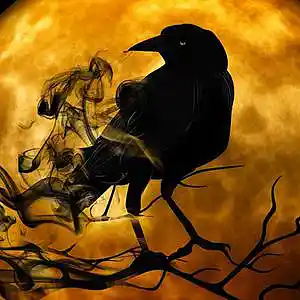 Picture for song 'Hypnotize the Crow' by artist 'Zoo of the Moon'