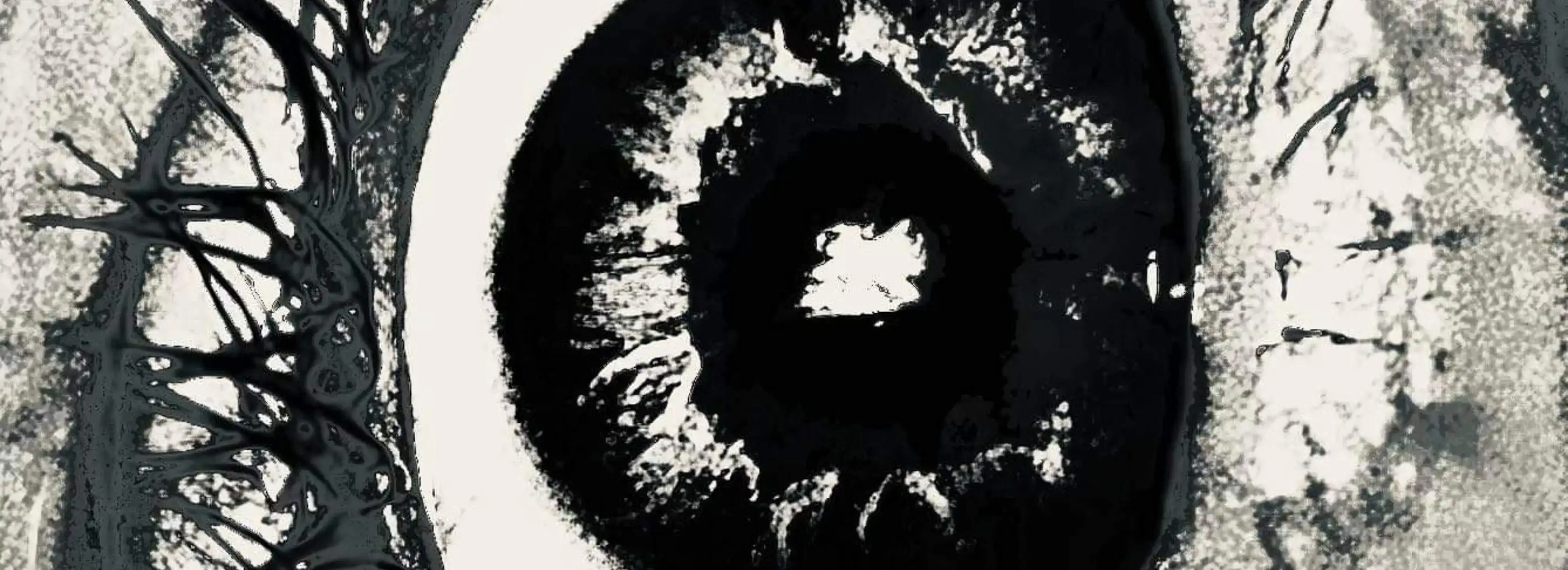 cover pic