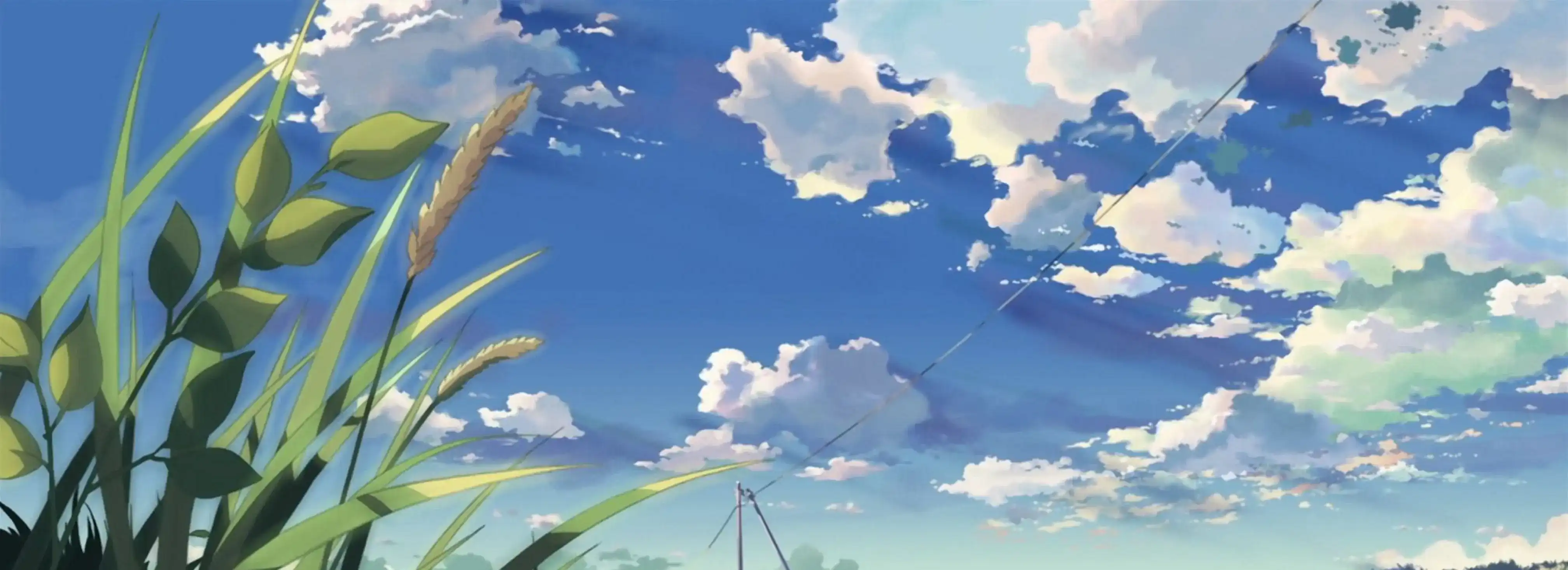 cover pic