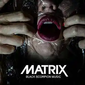 Picture for song 'Matrix' by artist 'Black Scorpion Music'