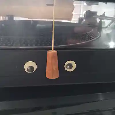 Song picture