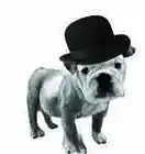 Picture for song 'New English Blues Part I' by artist 'J C Carroll'