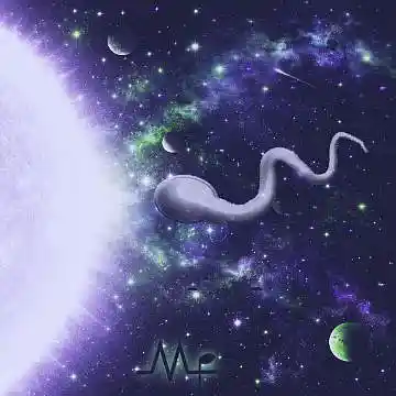 Picture for song 'First Trip' by artist 'Mille-Feuille'