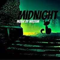 Picture for song 'MidNight (Instrumental) (Rap) 2017 By Wassim' by artist 'Dark Hat'
