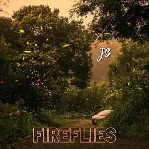 Picture for song 'Fireflies' by artist 'realjuicybeats'