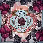 Picture for song 'SZA Sample - Smooth G-Unit Type Ft. Lloyd Banks' by artist 'Beats By Ebcott'