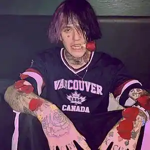 Picture for song 'Lil Peep Type Beat "SK8" Emo Trap' by artist 'Cort Beats'