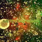 Picture for song 'insektifiedology' by artist 'Dadirri'