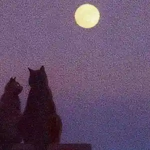 Picture for song 'MIDNIGHT' by artist 'DeePayne'