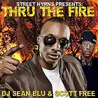 Picture for song 'Thru The Fire Mixtape clips 2009' by artist 'DJ Sean Blu'