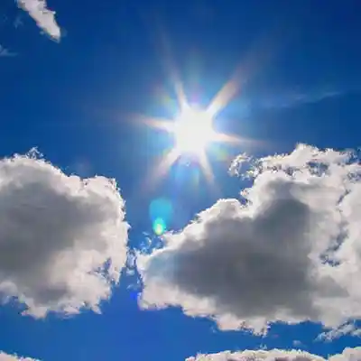 Picture for song 'Back to Your Heart feat. Lori Martin on vocals' by artist 'Flying Fox'