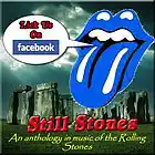 Picture for song 'I Know I'ts Only Rock And Roll (But I Like It)' by artist 'Still Stones'
