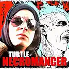 Picture for song 'Keys & Fiddle' by artist 'Turtle Necromancer'