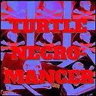 Picture for song 'The Rise' by artist 'Turtle Necromancer'