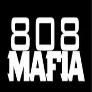 Picture for song '808 mafia Type beat' by artist 'BenFilmsPhantomYT'