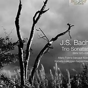 Picture for song 'Trio Sonata en Do menorBWV 526' by artist 'Cecil Vittar'