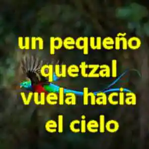 Picture for song 'un pequeño quetzal vuela hacia el cielo' by artist 'Estelle Derrien'