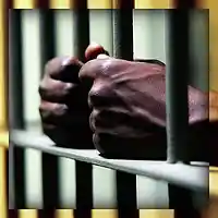 Picture for song 'SOLD - Dreamin Of Freedom' by artist 'Fugitive Beatz'