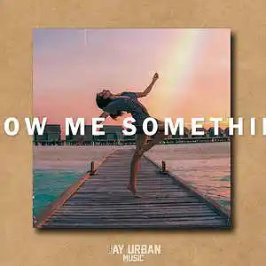 Picture for song 'Show Me Something (Pop x EDM Type Beat)' by artist 'JayUrbanMusic'
