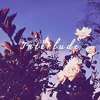 Picture for song 'Interlude' by artist 'JuSaMeLoDy'