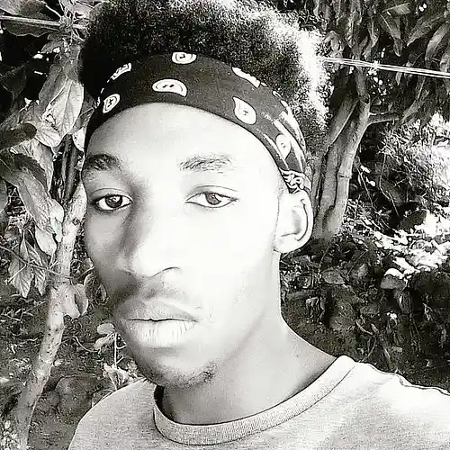 Picture for song 'Layzee_T_x_El_tee_-_If(official_audio' by artist 'Layzee T'