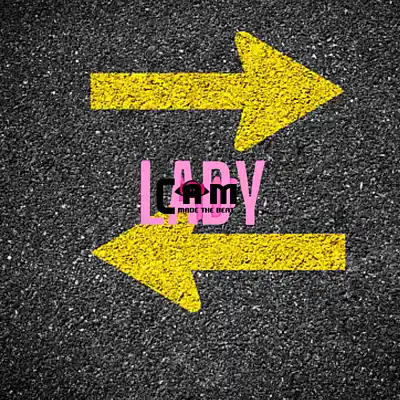 Picture for song 'Choices made *Buy 1 get 1 free*' by artist 'Ladycammadethebeat'