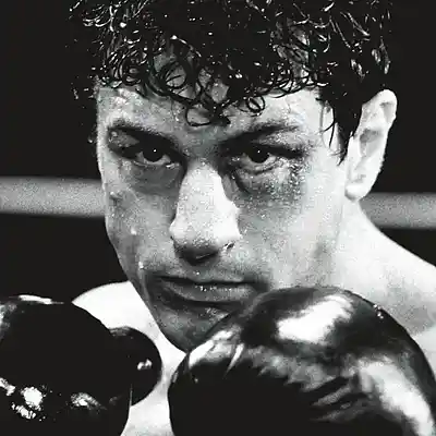 Picture for song 'Raging Bull Theme' by artist 'Previous Signs of Decay'