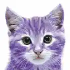 Picture for song 'Purple Twist' by artist 'Purple Cat Purple Cat'