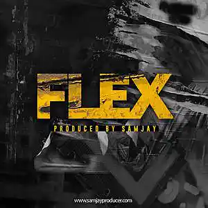 Picture for song 'Flex (Hype HipHop Beat)' by artist 'SamJay'