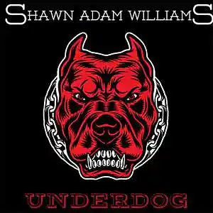 Picture for song 'Underdog' by artist 'Shawn Adam Williams'