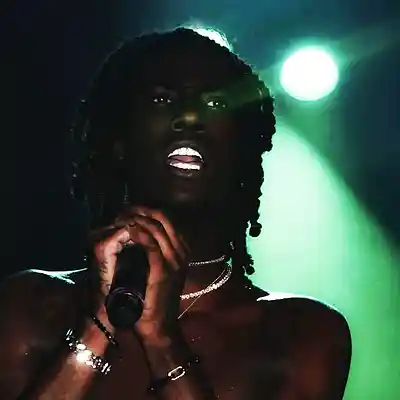 Picture for song 'jungle' by artist 'Soren Cornix'